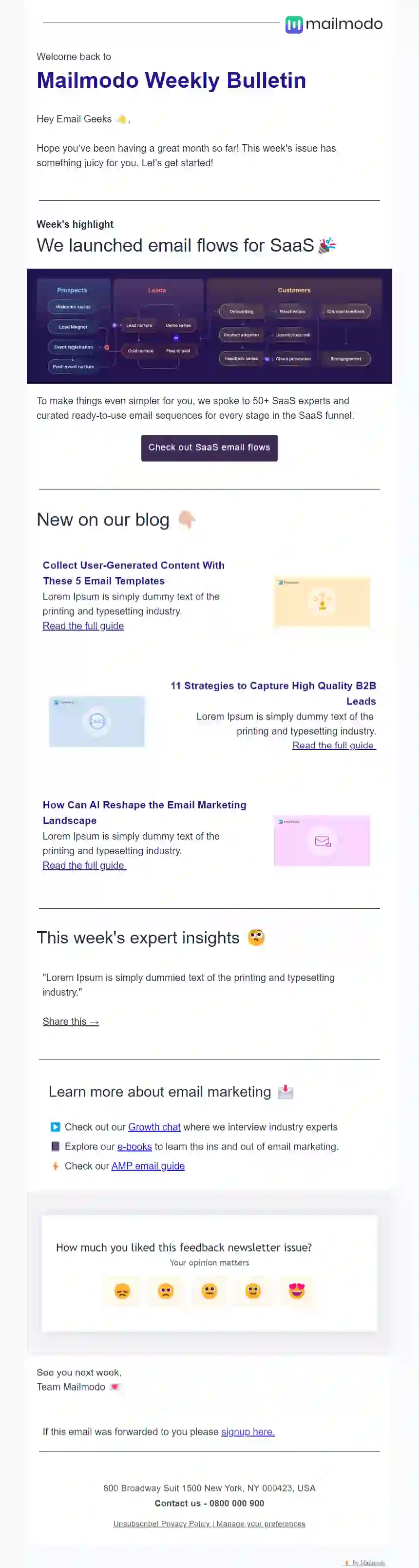 Free Weekly Newsletter Template