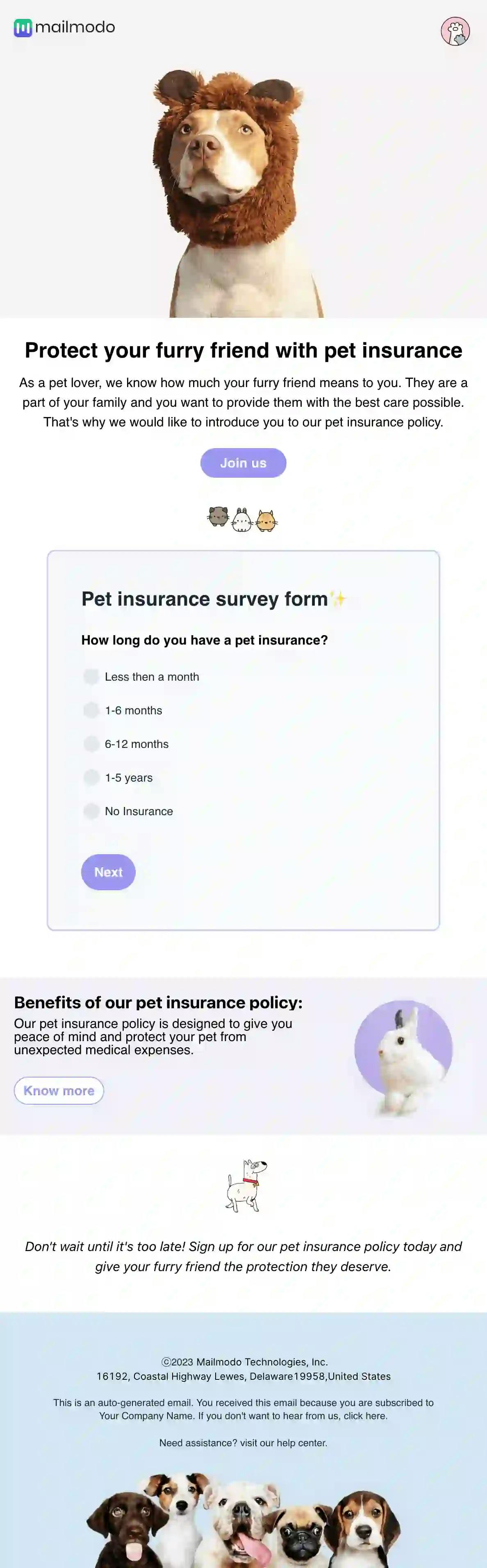 Pet Insurance Email Templates