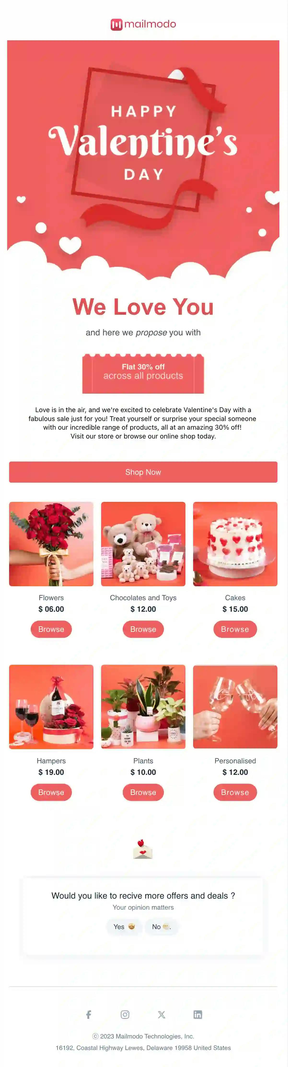 Valentines Day Sale Email Template
