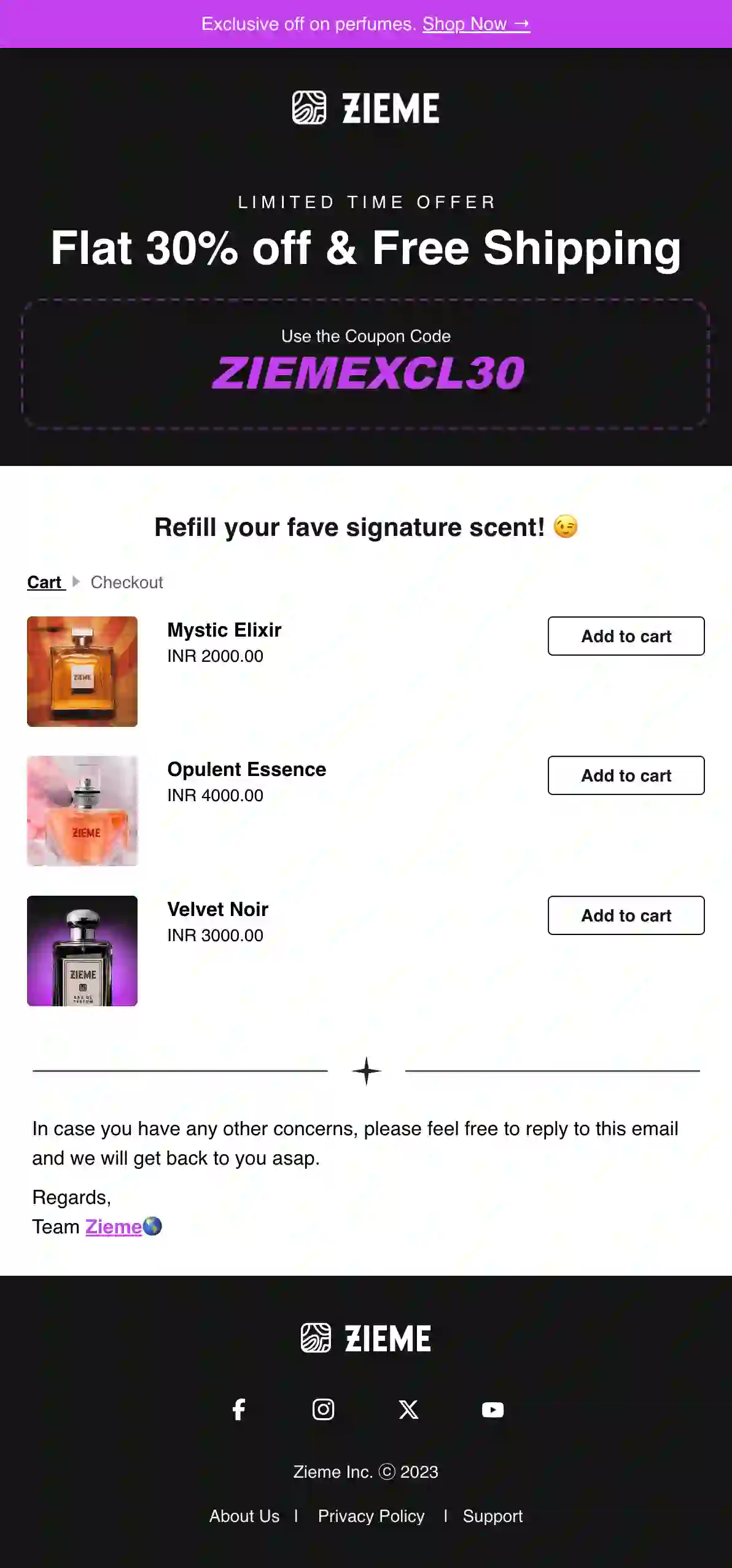 Free Coupon Email Template