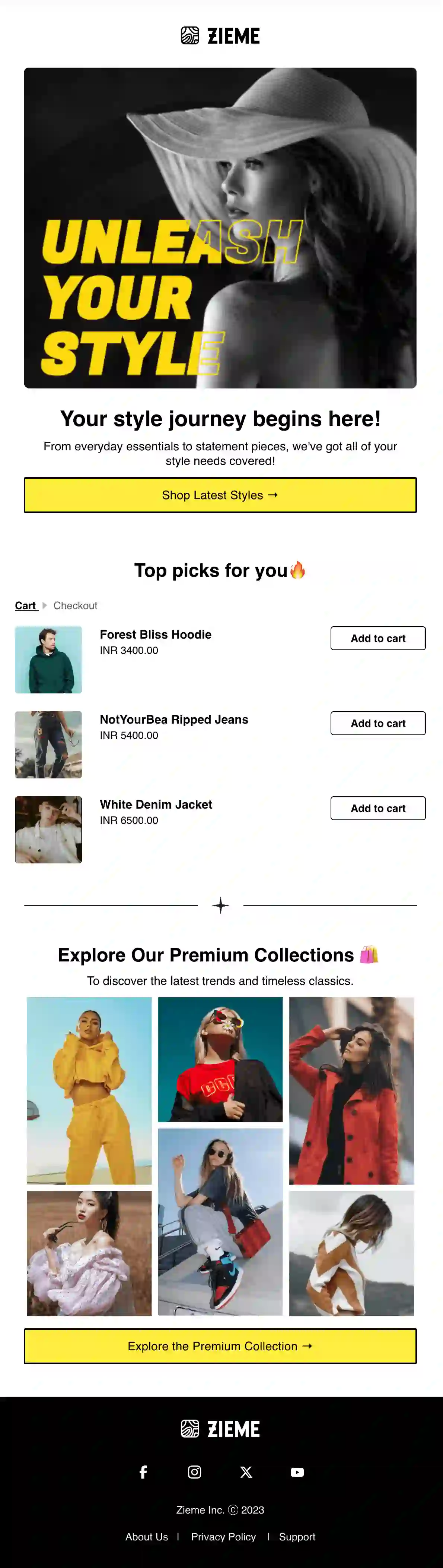 Free eCommerce Promotion Email Template