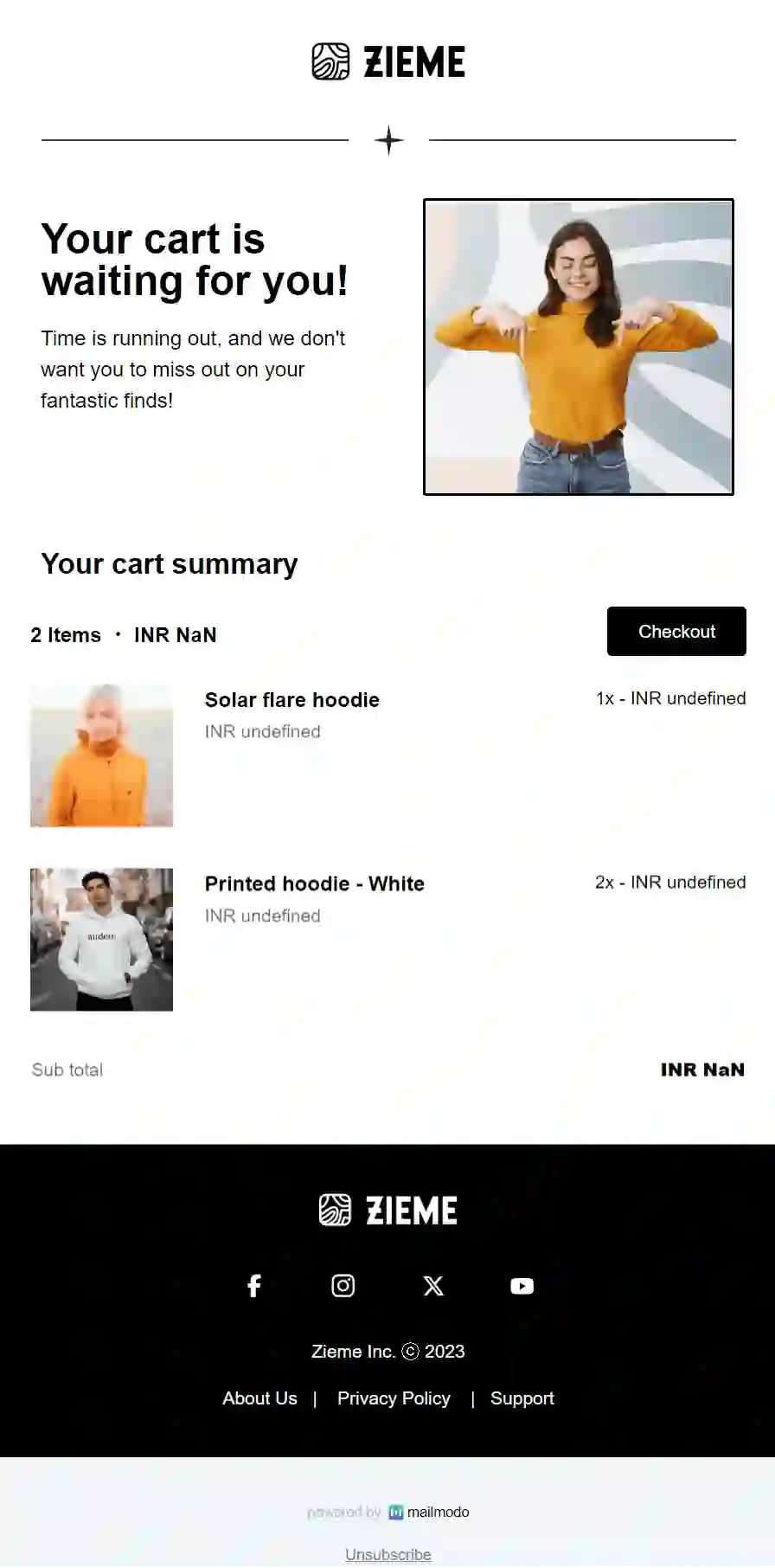 Abandoned Cart Reminder Email Template