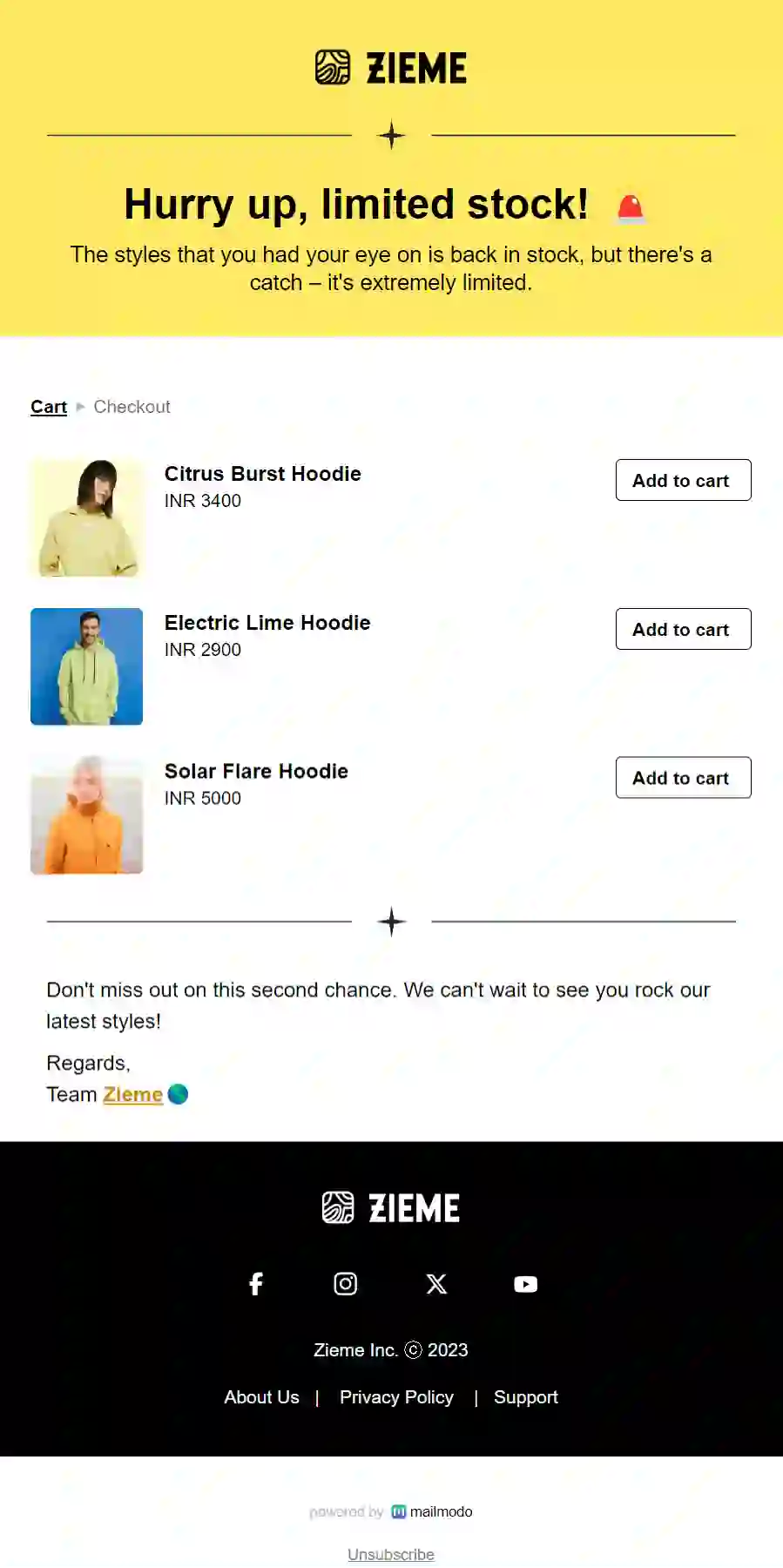 Limited Stock Email Template
