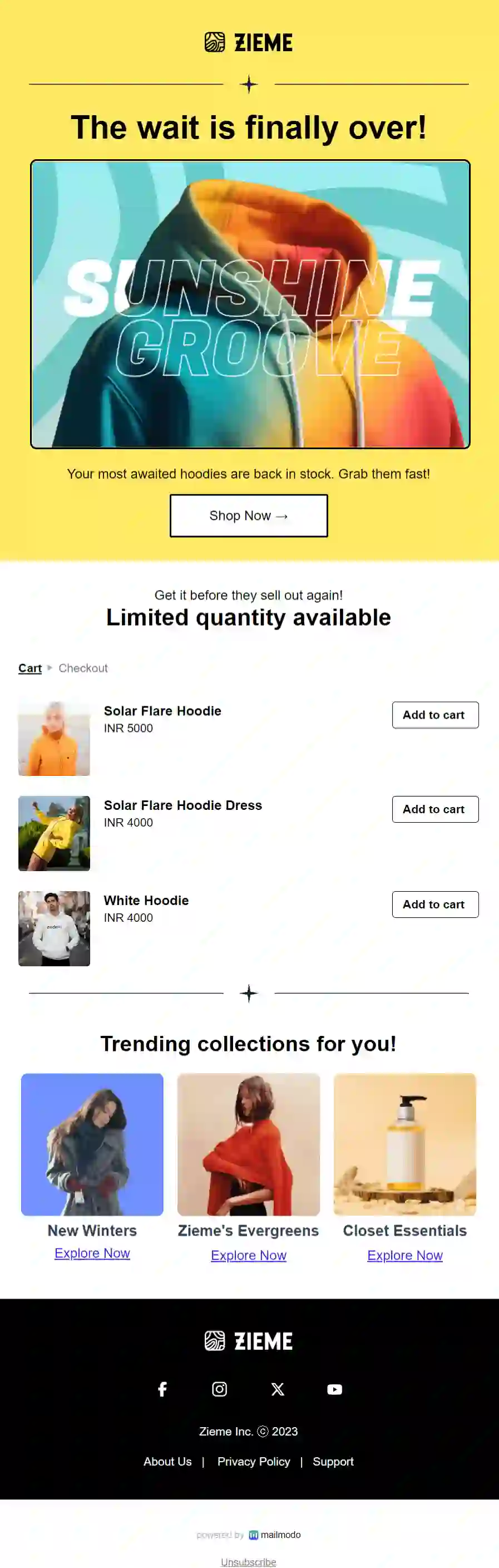 Free Back-In-Stock Announcement Email Template