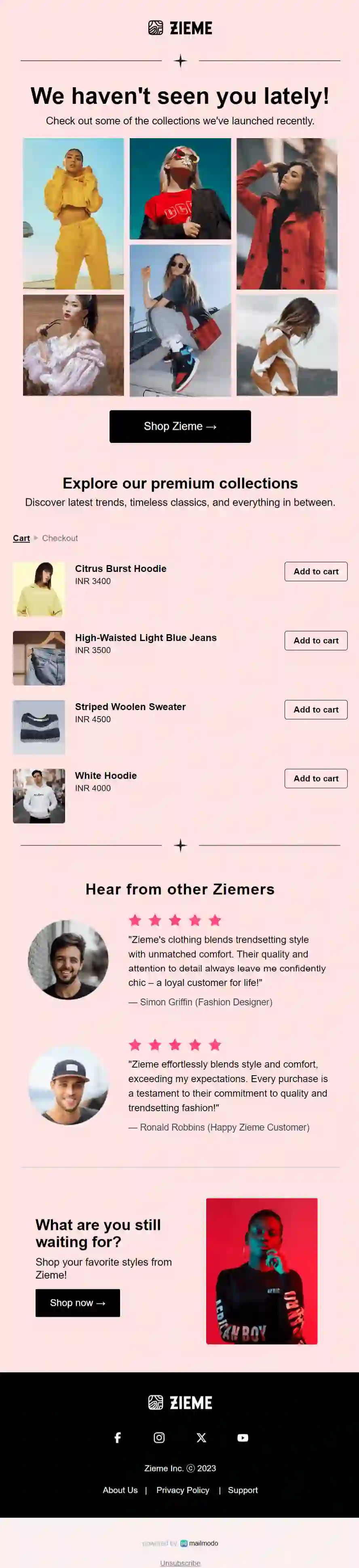 Free eCommerce Win Back Email Template