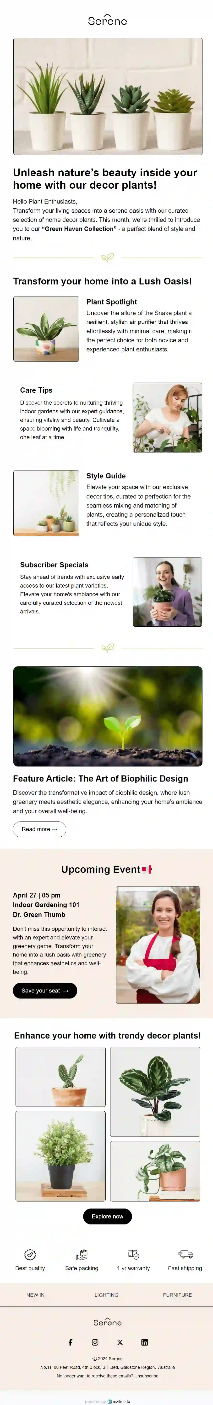 Home Decor Newsletter Template