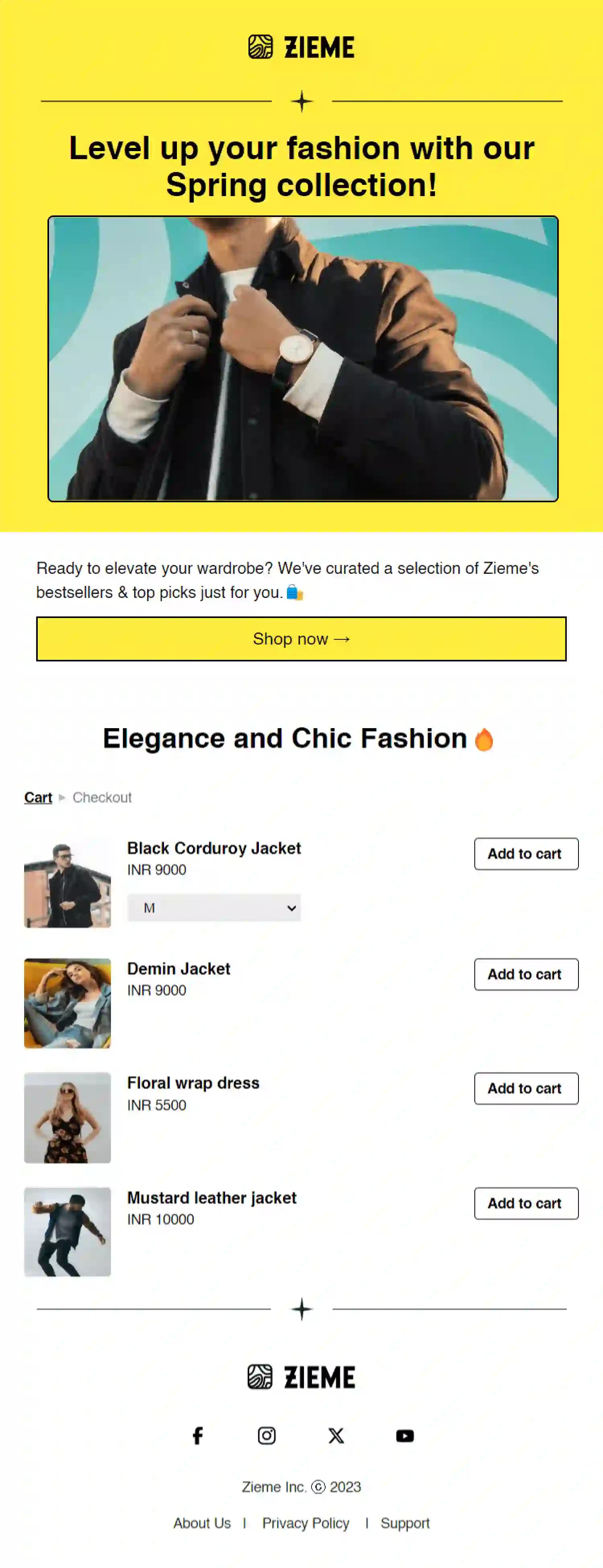 Free Shopify Upsell or Cross Sell Email Template