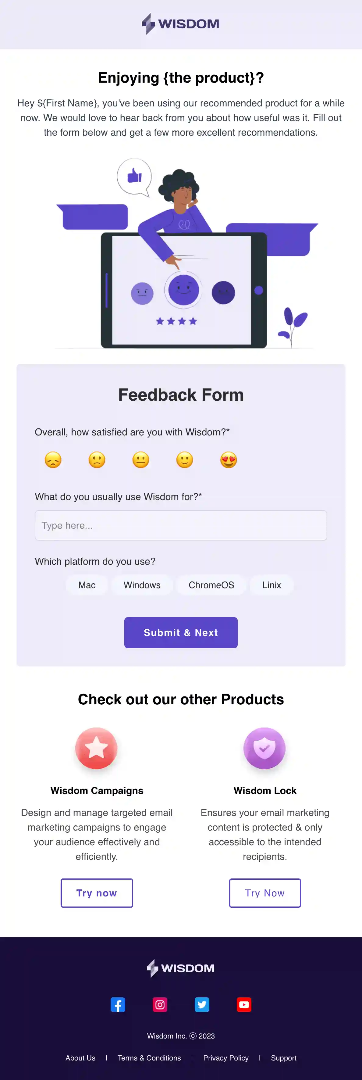 SaaS Feedback Email Template