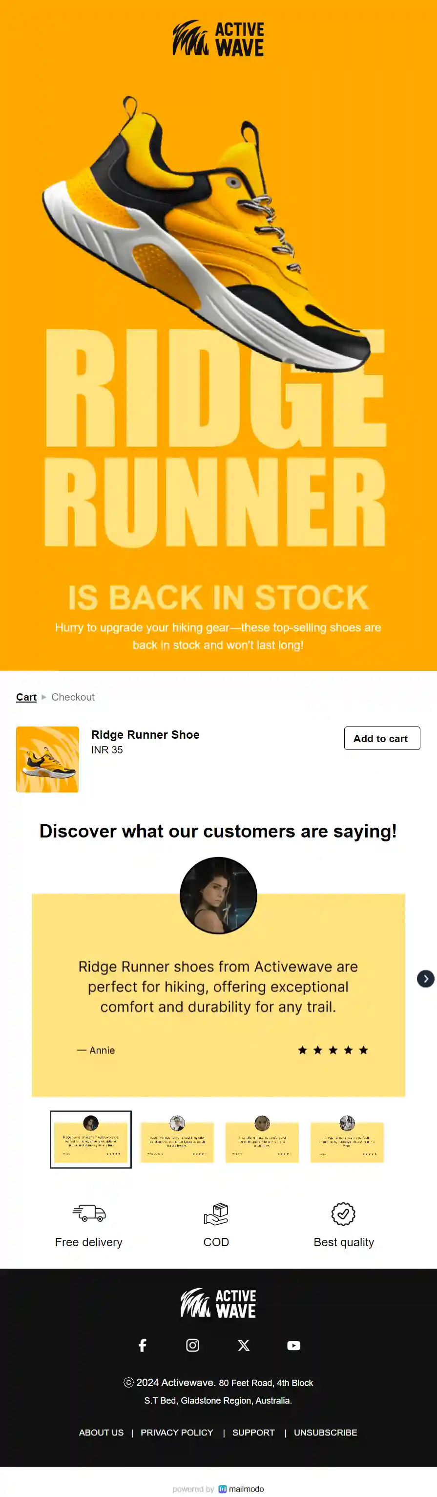 Free Back in Stock Email Template for Sports Brand