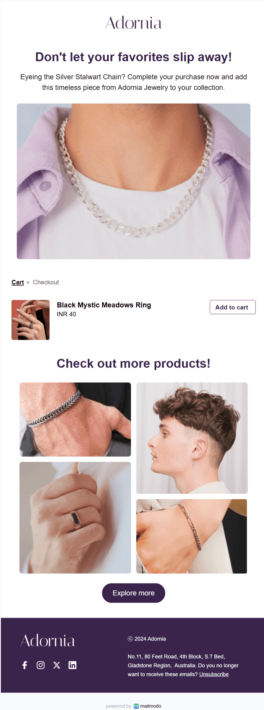 Free Jewellery Browse Abandonement Email Template