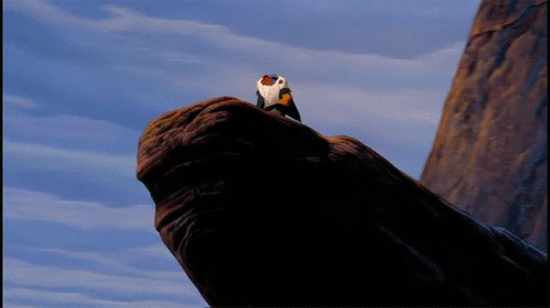 giphy11_ezgif_com_added_text_a6f9f763da