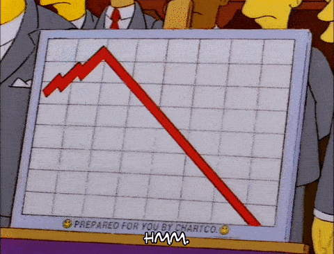 giphy13_ezgif_com_optimize_2a1779b49e